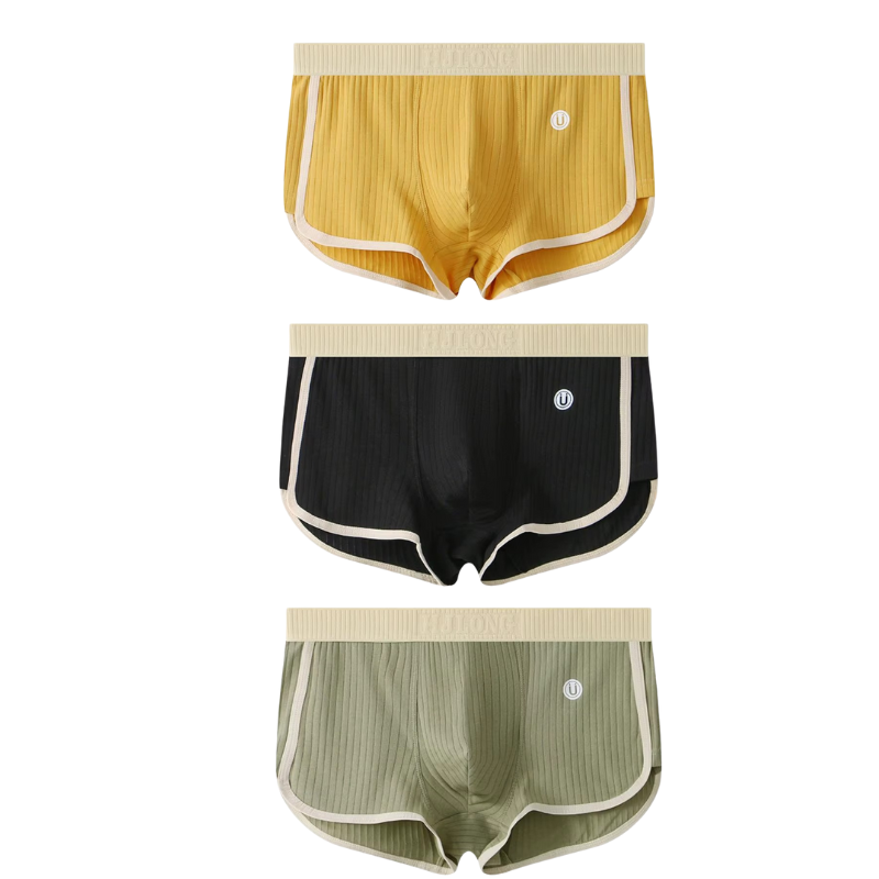 3-Pack Underwear Set Waistband Boxer Briefs for Men