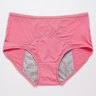Women's Period Underwear for Day and Night Wear
